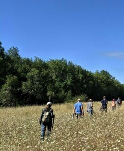Six people walk through a brown field of Queen Anne's Lace from left to right, some of them holding hand tools. In the background there is a thick stand of trees. It is a sunny day with a blue sky.