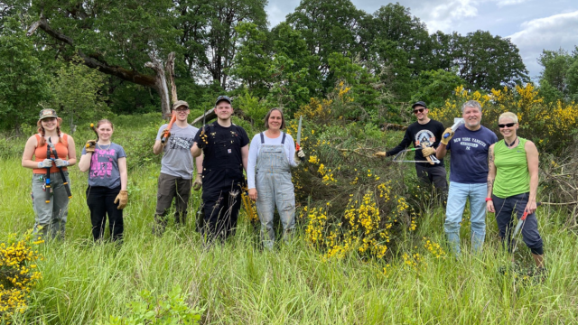 8 people hold hand tools and stand around a large pile of cut scotch broom