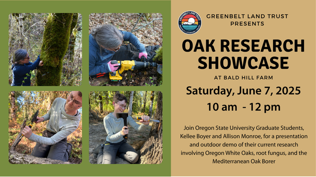 Oak Research Showcase at Bald Hill Farm