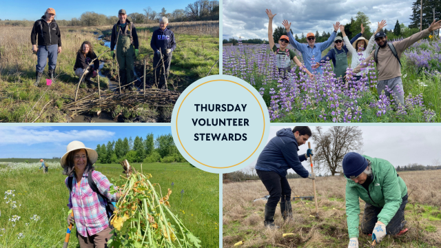 A collage of photos of people working on land stewardship projects
