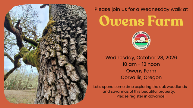 Walk through the Oaks at Owens Farm with Greenbelt Land Trust in Corvallis