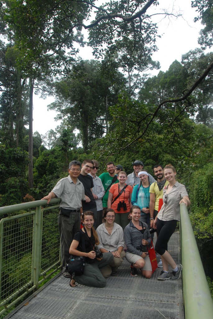 Photo 4: Borneo Class 4. Here, the class is gathered on the magnificent canopy walk conceived and developed by Dr. Robert Ong, at left, our guide at the Rainforest Discovery Center in Sandakan. Through the activities of the Center, thousands of visitors every year are exposed to the wonders of the rainforest. 