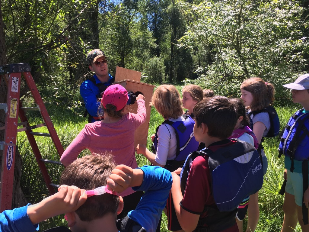 Kids get to help install duck nesting boxes along the Willamette River.