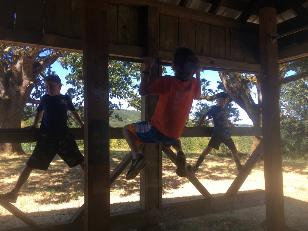 A Pokemon Gym at the Bald Hill Natural Area's barn is also a jungle gym for play.