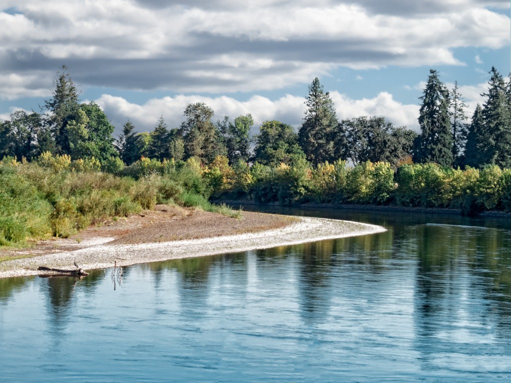 When the river level drops enough, it's possible to walk right along the bank of the Willamette.